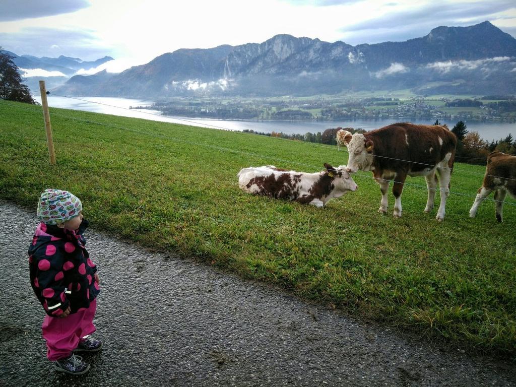 Panoramahof Manzberg Apartman Mondsee Kültér fotó