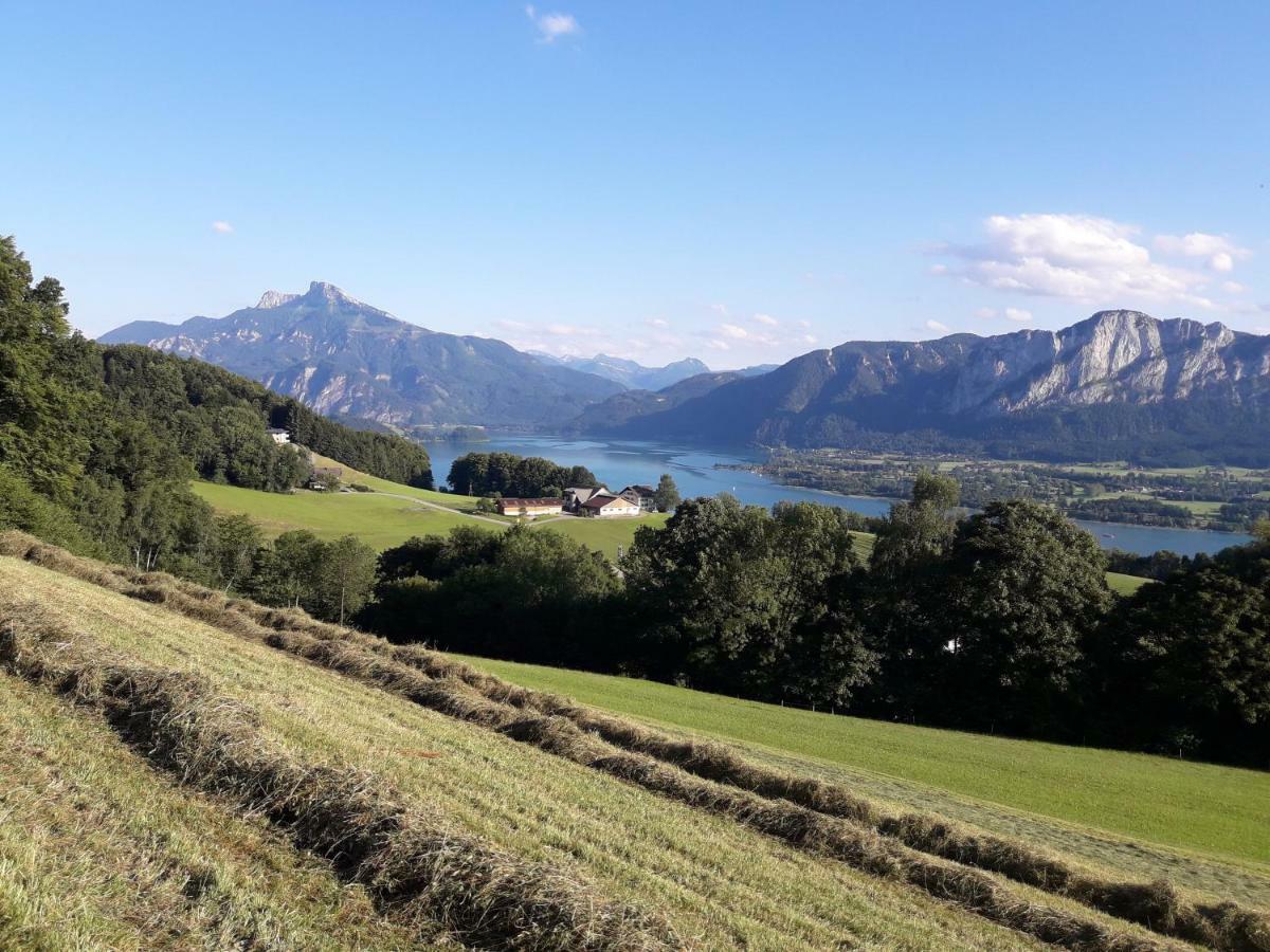 Panoramahof Manzberg Apartman Mondsee Kültér fotó